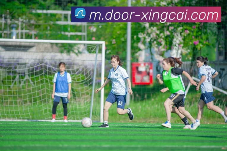 App Interface Preview