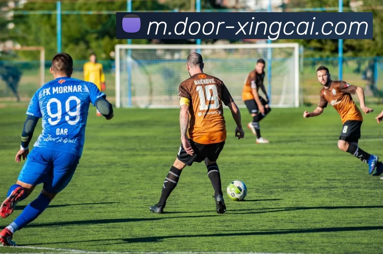 杏彩体育APP 封面图